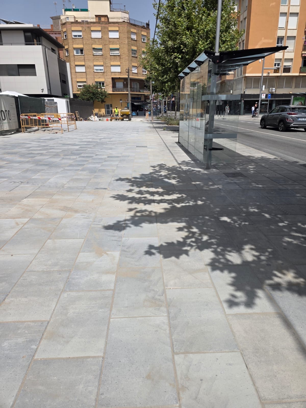 Pavimentación de acera con arbolado